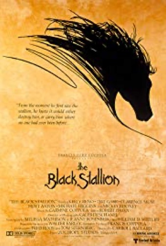 The Black Stallion